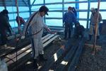 IMG_2175_convert_20130226182206.jpg